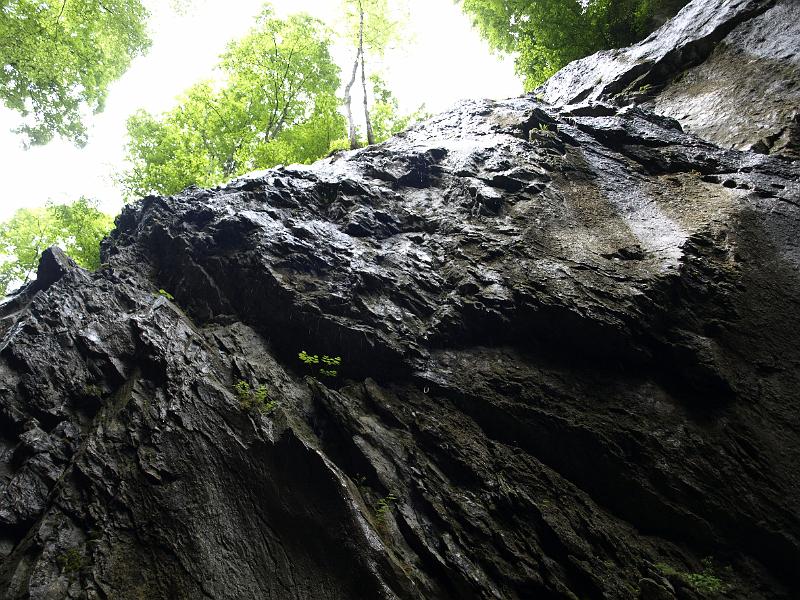 AUS04062009 (23).jpg
